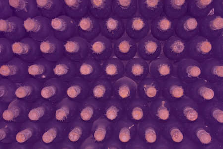 Old wine bottles top view in wine cellar purple tonedの写真素材