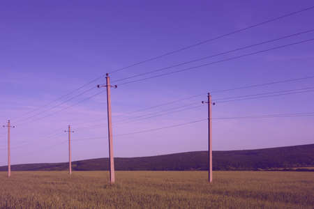 Electricity concept. Power lines in the fieldの写真素材