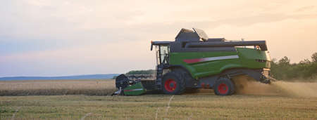 Harvester harvests wheat in the field at sunset closeup. Agriculture banner concept. Stork in the fieldの写真素材