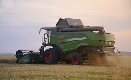 Harvester harvests wheat in the field at sunset closeup. Agriculture banner conceptの写真素材