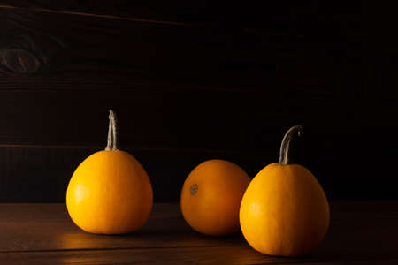 Pumpkins on dark wooden background. Autumn halloween harvesting thanksgiving concept with space for text. Pumpkin compositionの写真素材