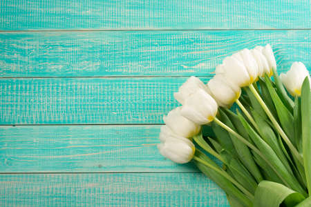 White tulips on wooden turquoise background. Greeting card templateの写真素材