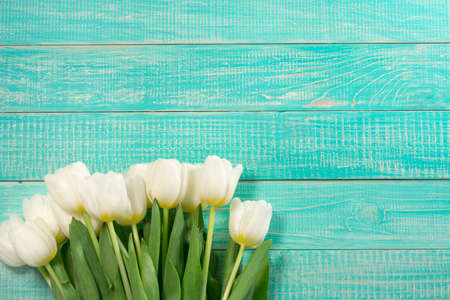 White tulips on wooden turquoise background. Greeting card templateの写真素材