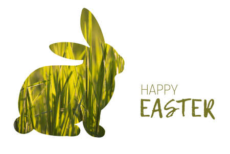 Easter rabbit bunny illustration silhouette made of grass. Easter card banner, natural style patterned designの写真素材