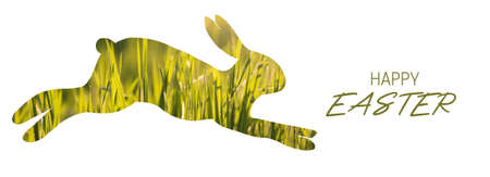 Easter rabbit bunny illustration silhouette made of grass. Easter card banner, natural style patterned designの写真素材