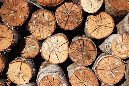 Stack of birch wood logs, closeup frontal view