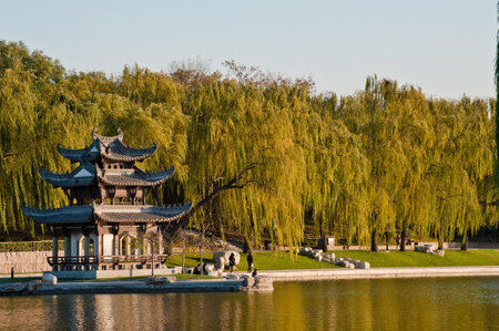 Photoed in a park, Beijing