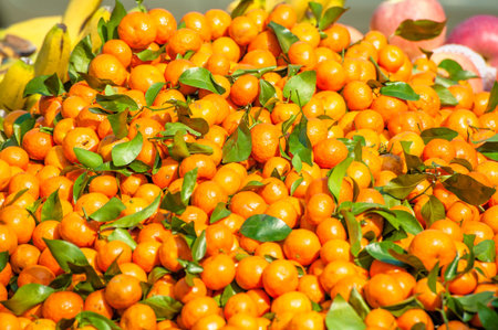 Many fresh oranges with green leaves 