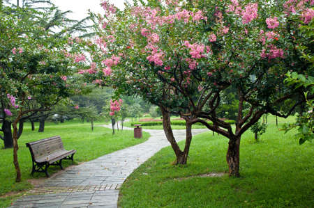 A Qingdao park under the raining, Chinaの写真素材