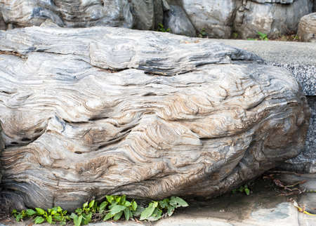 Wavy pattern on the rockの写真素材