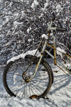 A pedicab tyre covered by the snowの写真素材