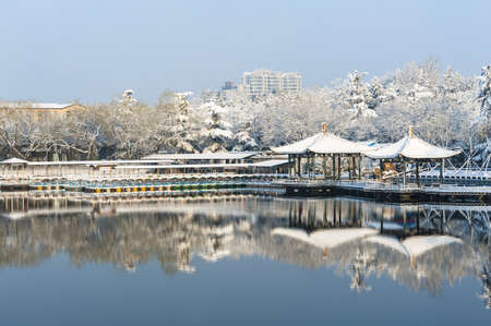Scenery of the park under the snowの写真素材