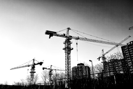 Cranes in the construction site  B W の写真素材