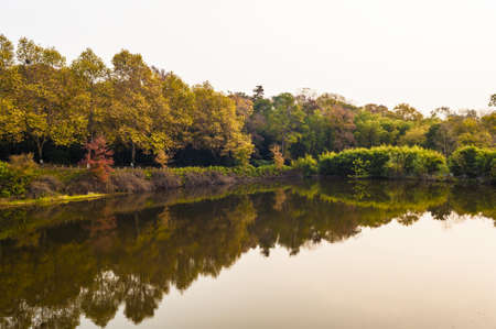 Landscape of autumnの写真素材