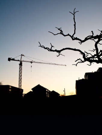 Crane,building and leafless tree in winterの写真素材