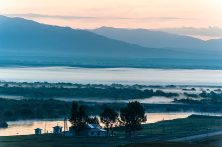 The morning at the grasslandの写真素材
