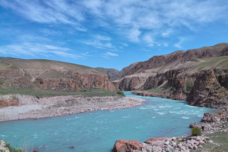 A river in the grassland