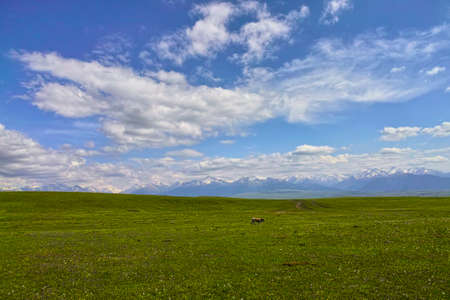 Scenery of Kalajun grasslandの写真素材