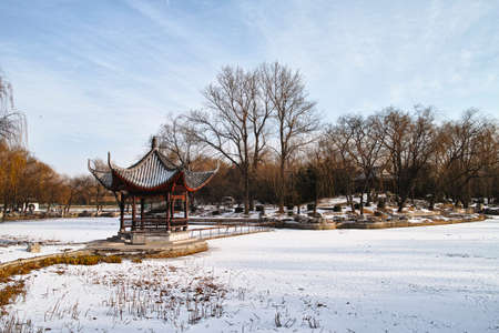 The scenery of a park in winterの写真素材