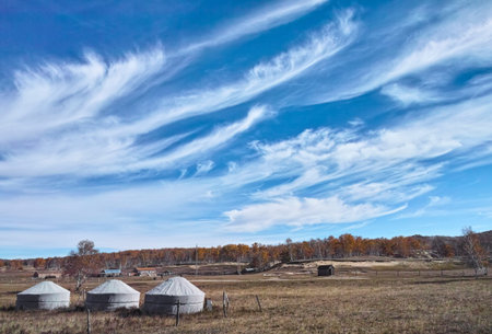 Scenery of the grassland in autumn