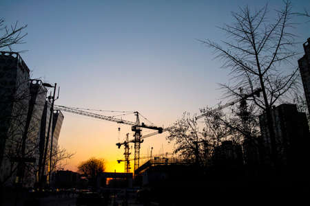 Cranes in the construction site under the sunsetの写真素材