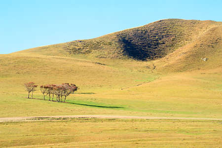 Autumn scene in the grasslandの写真素材
