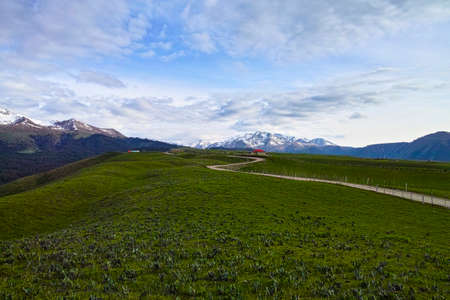 A road through the grasslandの写真素材