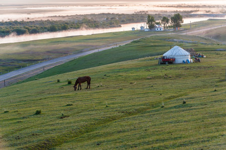 landscape of grassland in morning