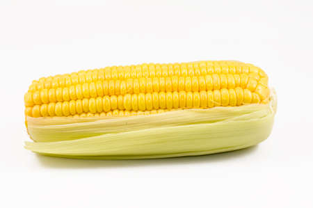 A sweet corn on the white backgroundの写真素材