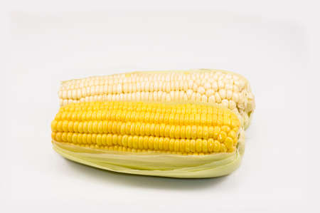 Two corn on the white backgroundの写真素材