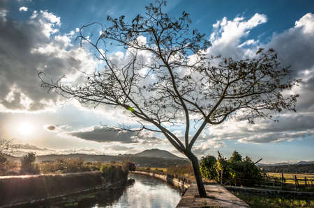 Rural sceneryの写真素材