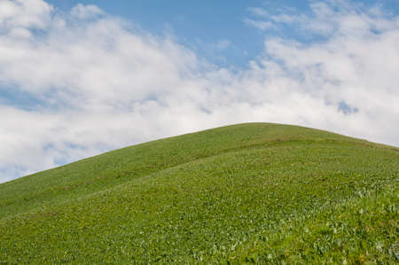 grassland and blue skyの写真素材