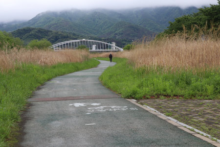 Samcheoncheon Stream Roadの写真素材