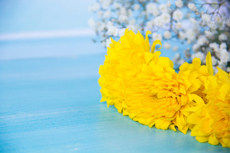 yellow and white flowers on wood background