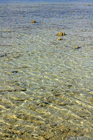Clear sea water ripples on the shoreの写真素材