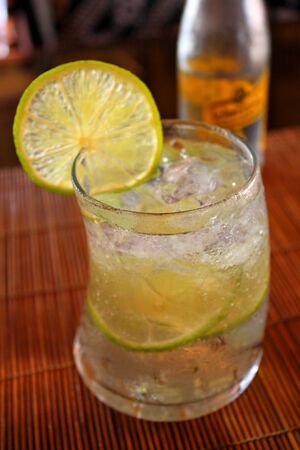 Glass of iced gin tonic soda with lemon slicesの写真素材