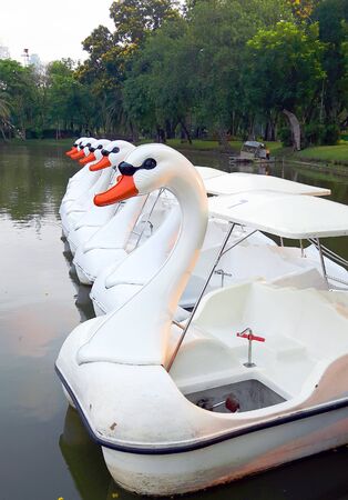 White swan paddle boats in a garden's pondの写真素材