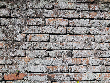 Ancient brick wall textureの写真素材