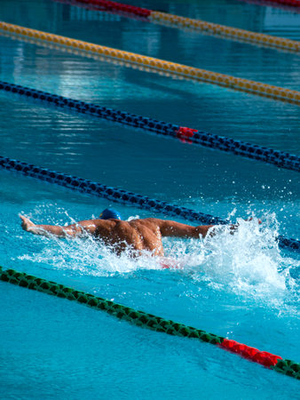 Male swimmer in the swimming pool. Swimmer in the pool.
