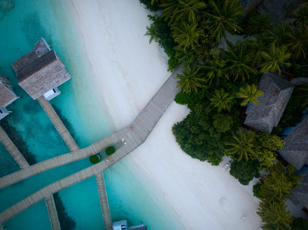 Aerial view of tropical island with white sand, turquoise water and palm trees. Summer vacation at Maldives.の写真素材