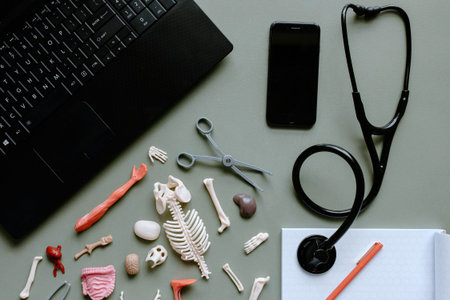 Medical equipment, stethoscope, notebook and mobile phone on green background