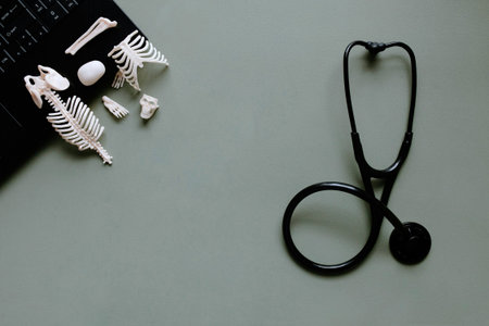 Medical stethoscope and human skeleton model on a green background.