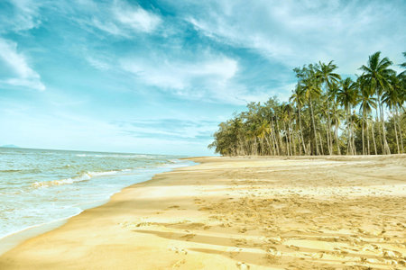 Tropical beach with coconut palm trees and blue sky - vintage filter