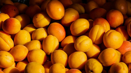 Apricots for sale at the market. Apricots background