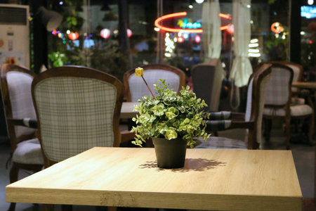 Green plant in a pot on a wooden table in a cafe.