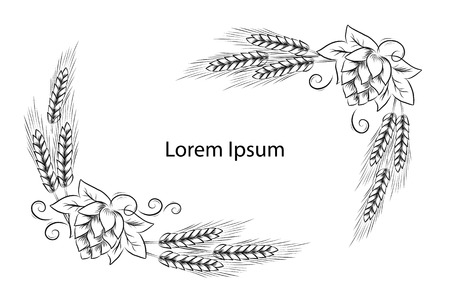 Hand Drawn Hop Cones And Wheat Heads Outline Illustration Hops