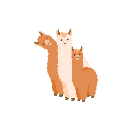 Cute llama or alpaca flat characters for nursery design, poster, banner, logo, icon, greeting card, sticker. Baby llama or little alpaca for wool producer. Cartoon wild animal in scarf and pomponsのイラスト素材