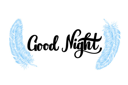 Vector hand drawn lettering Good Night and line art style feather for poster, banner, icon. Fluffy feathers on transparent background. Lightweight sketch illustration, for patterns. Elegant fontのイラスト素材