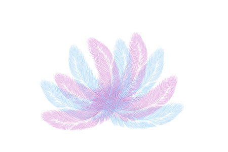 Vector hand drawn line art style feathers for poster, banner, logo, icon. Fluffy feathers on transparent background in realistic style. Lightweight sketch illustration, for patterns, carnival.のイラスト素材