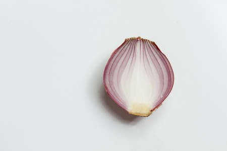 Onion cut in half on white backgroundの写真素材